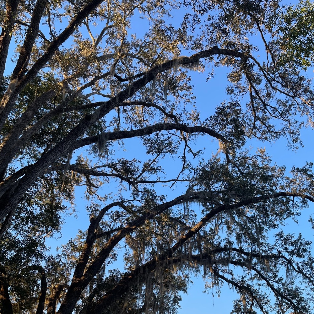 Meet your Posher, Aspen